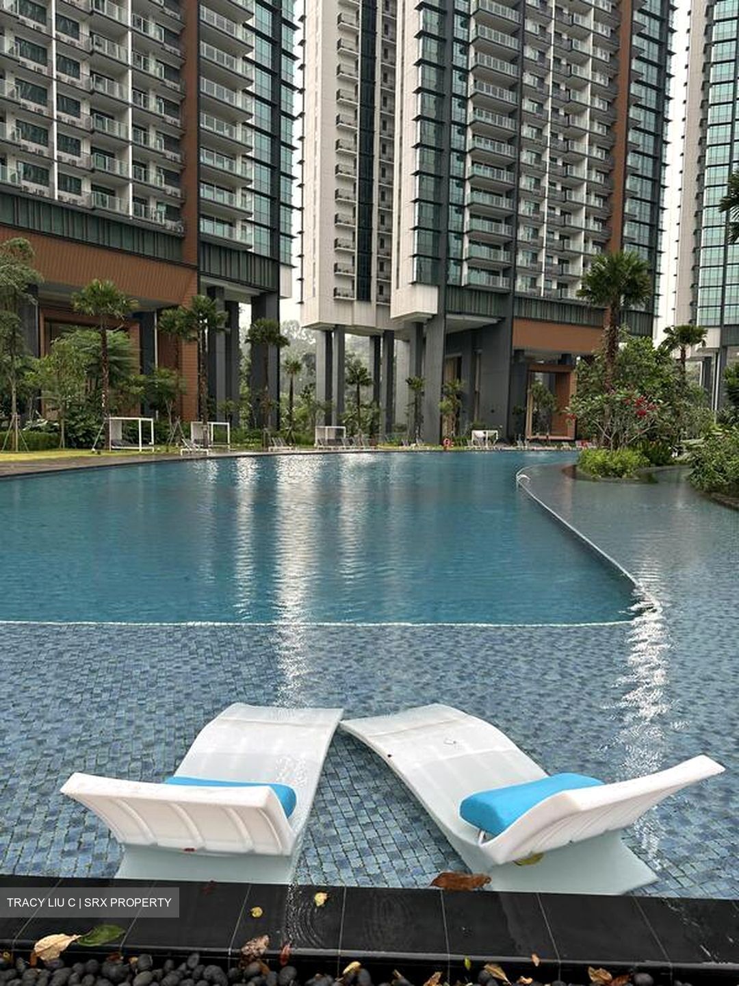 Normanton Park (D5), Apartment #481741471